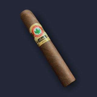 A Joya de Nicaragua Antaño 1970 Robusto Grande under a sun-grown Habano Criollo wrapper, banded in red and green.