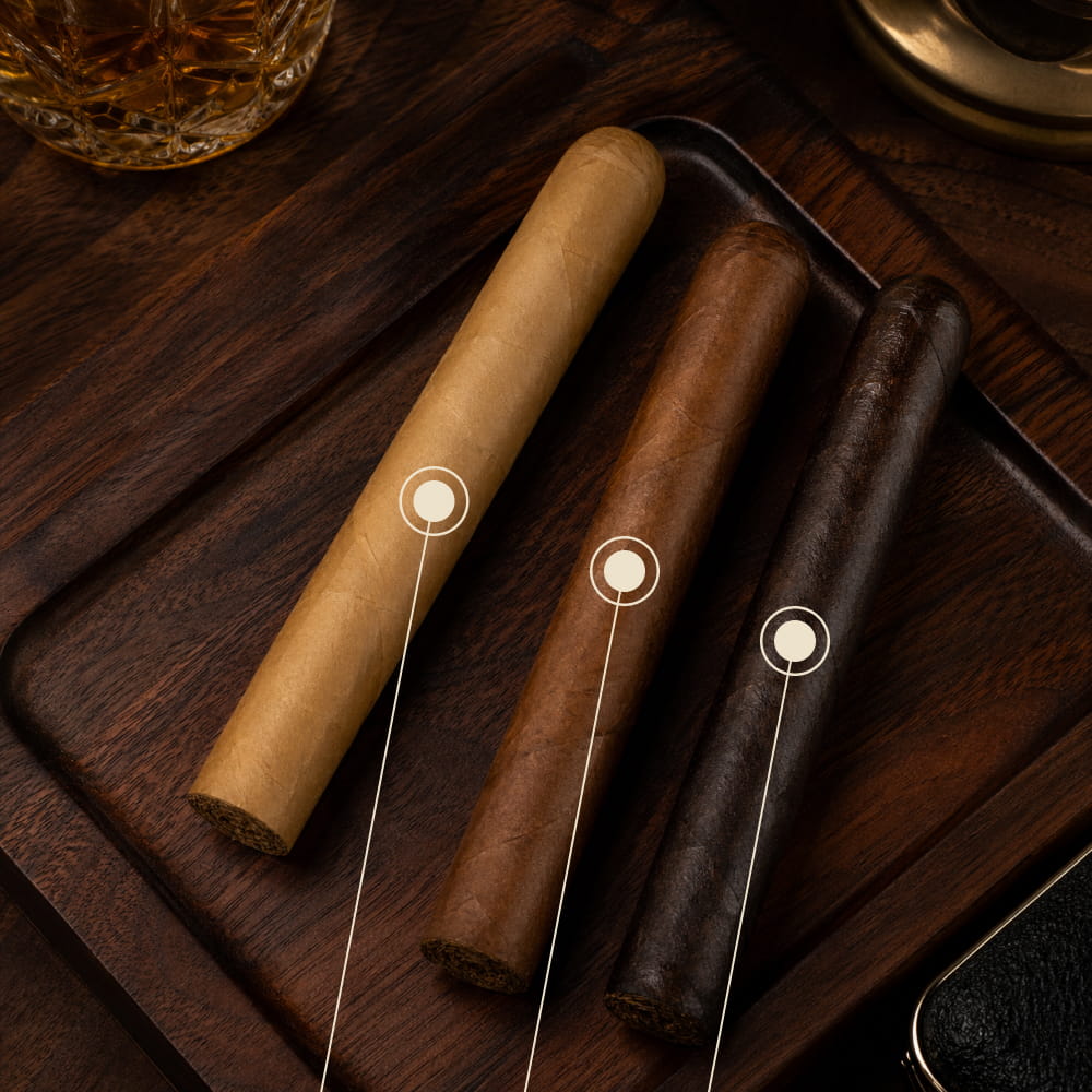 Premium cigars in different wrapper shades, illustrating that wrapper colour does not equal strength