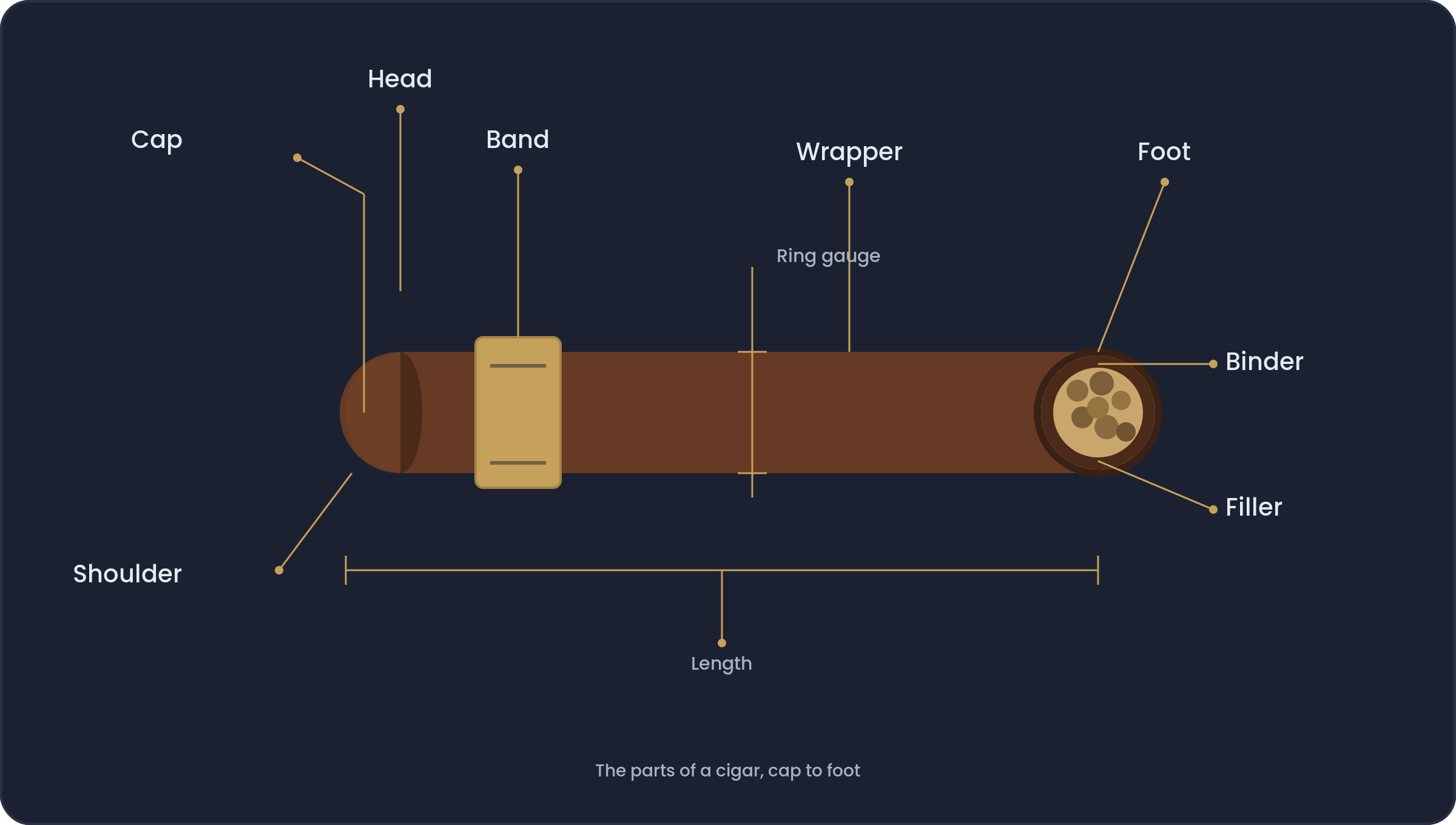 Labelled diagram of a cigar showing the cap, head, shoulder, band, wrapper, foot, ring gauge, binder and filler.